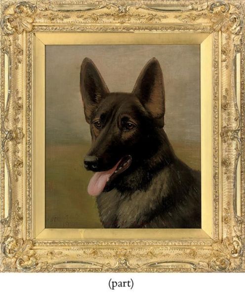 Jules Of Siler Warren, An Alsatian - view 1