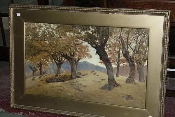 Pollard Oaks - view 1