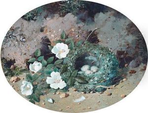 Still Lifes Of Flowers And Birds' Nests