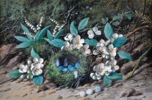 robins Nest by William Cruickshank