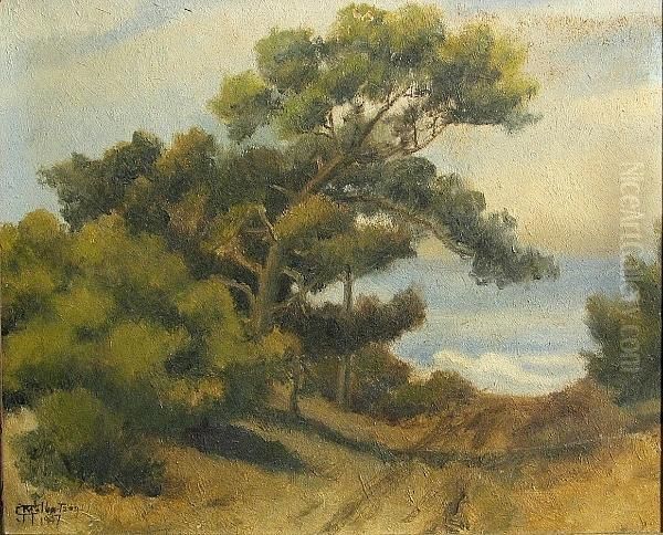 A Path To The Beach - view 1