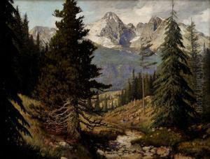 Pohlad Na Tatry