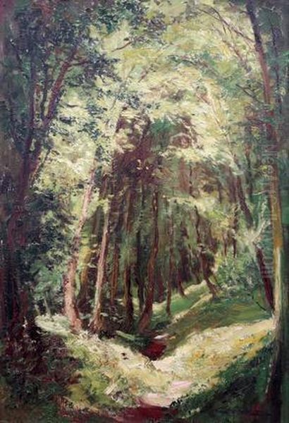 Lesni Interier - view 1