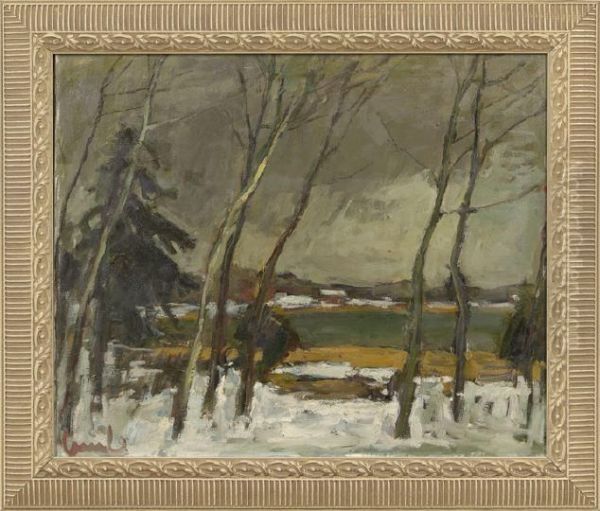 Winter Landscape - view 1