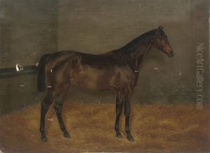 Dunlop, When A Yearling by Isaac Cullin