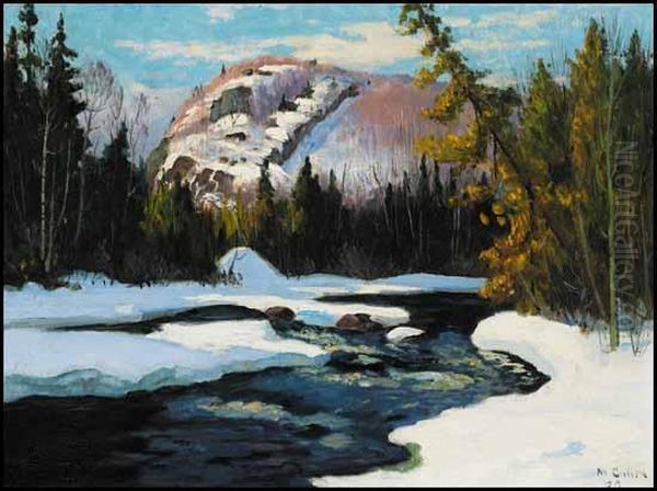 Sunny Afternoon, Early Spring, Ste-marguerite - view 1