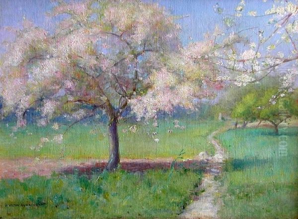 Apple Trees In Full Pink Blossom In A Verdant Field - view 1