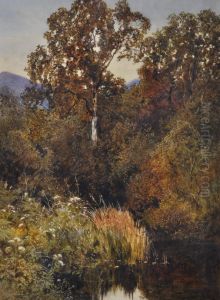 A Rural Pond by James Jackson Curnock