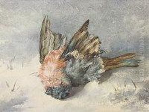 Bird Study, Winter by Fanny W. Currey
