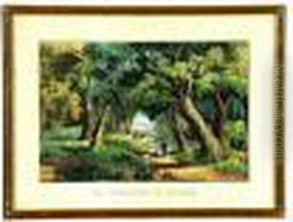 Woodlands In Summer - view 1