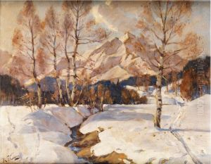 Verschneite Gebirgslandschaft Beiseefeld/ Tirol