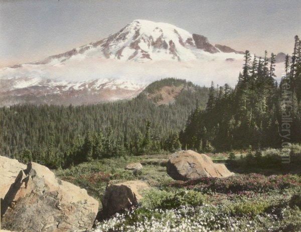 Portraits And Landscapes - view 1