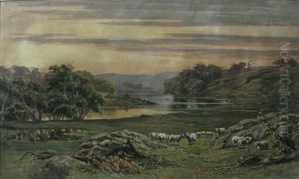 Sheep Grazing - view 1