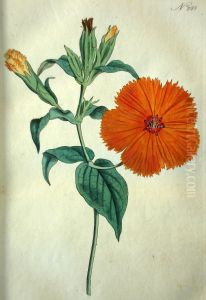 The Botanical Magazine, Or Flower-garden Displayed by William Curtis