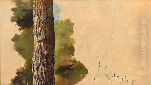 Estudio De Arbol