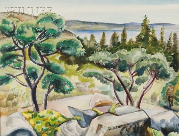 Walker Pond - view 1