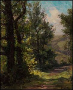Forest Trail