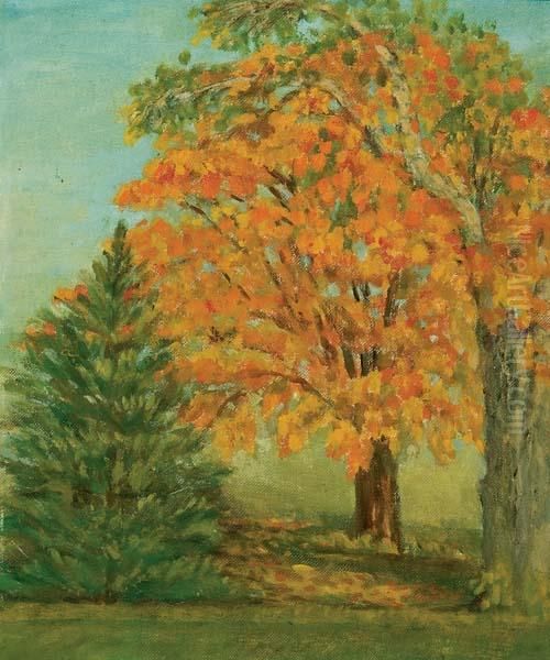 Autumn Maple. - view 1