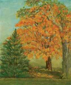 Autumn Maple.