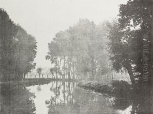 Effet De Brume, Pres D'arras