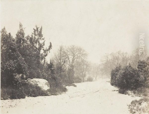 Paysage En Hiver - view 1