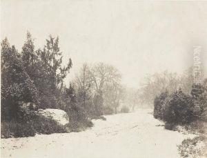 Paysage En Hiver