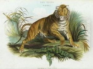 The Animal Kingdom