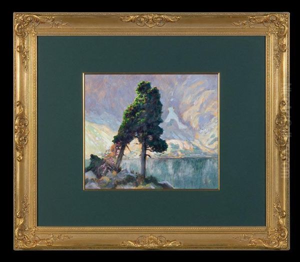 Trees Over Lake In Tatras - view 1