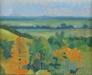 Z Ziemi Lubelskiej I by Stanislaw Czajkowski