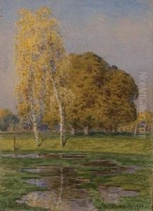 Birken Am Teich In Langenzersdorf by Franz Czizek