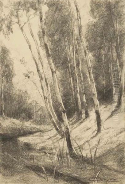 Birches - view 1