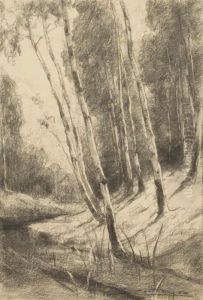 Birches