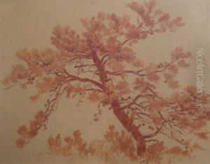 Four Landscapes by Nicola D'Ascenzo