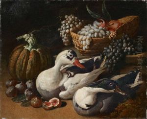 Fruchte Still Leben Mit Enten by Jacopo Da Firenze