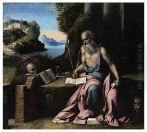 Saint Jerome In The Wilderness Saint Jerome In The Wilderness
