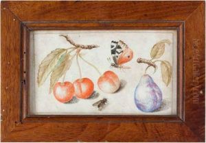 Natura Morta Con Farfalla, Ciliegie E Prugna by Fra Francesco Maria Da Ripatransone
