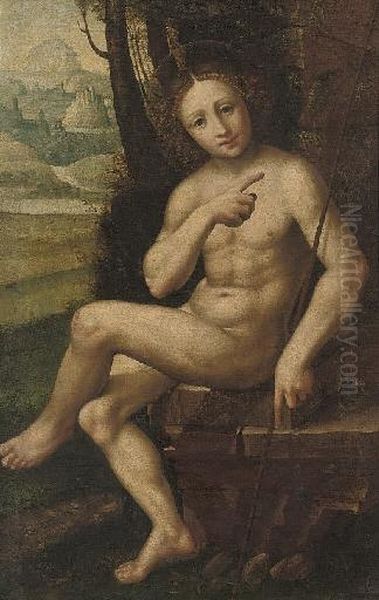 Saint John The Baptist In The Wilderness - view 1