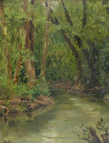 'um Igarape (ribeiro) Em **** 'para' - Brazil' - view 1