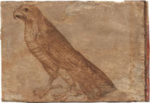 Sperber, Auf Dem Boden Hockend by Giovanni (Giovanni da Udine) Nanni (Nani)