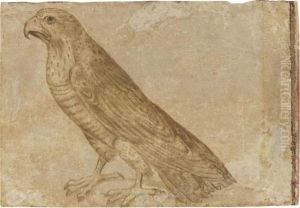 A Bird Of Prey by Giovanni (Giovanni da Udine) Nanni (Nani)