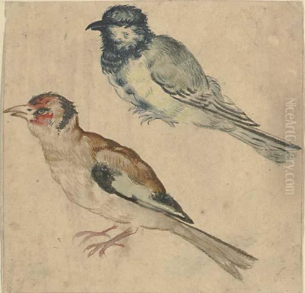 A Blue Tit And A Goldfinch - view 1