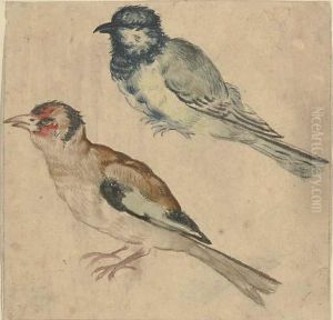 A Blue Tit And A Goldfinch by Giovanni (Giovanni da Udine) Nanni (Nani)