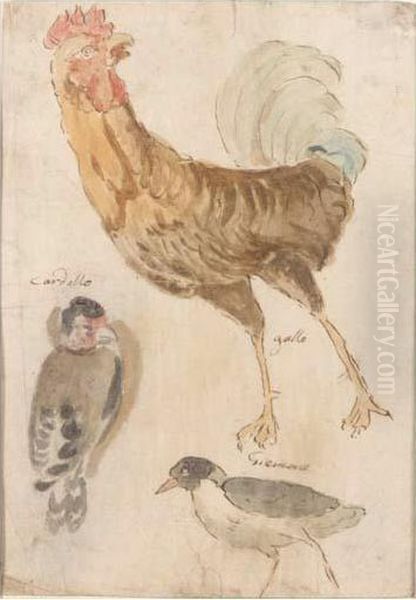 Study Of Three Birds - view 1