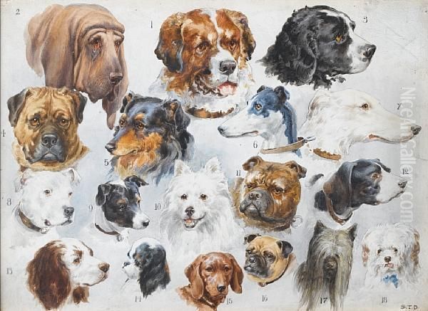 Eighteen Dogs - view 1