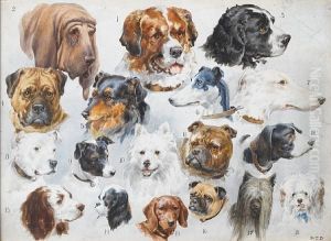 Eighteen Dogs