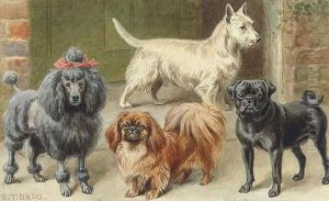 A Poodle, Pekingese, Pug, And Terrier On A Step A Poodle, Pekingese, Pug, And Terrier On A Step