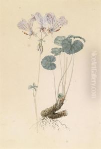 Geranium by Moritz Michael Daffinger