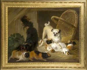 King Charles, Carlin Et Hamsters