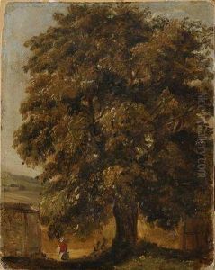 Grand Arbre Au Petit Bry