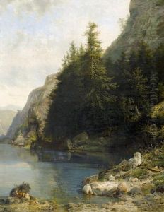 Uferpartie Mit Tannen An Bergsee.